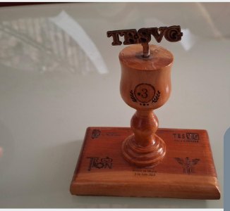 Trofeo de tercer lugar nacional en minisumo